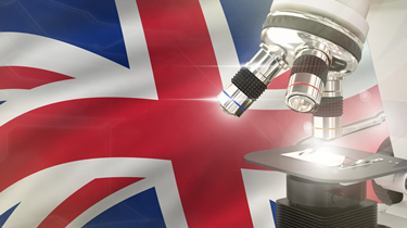 Lamont Pridmore - Accountants