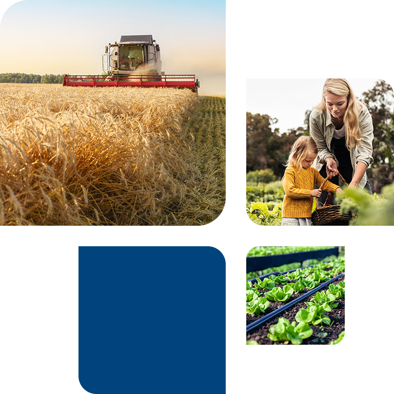 Farming